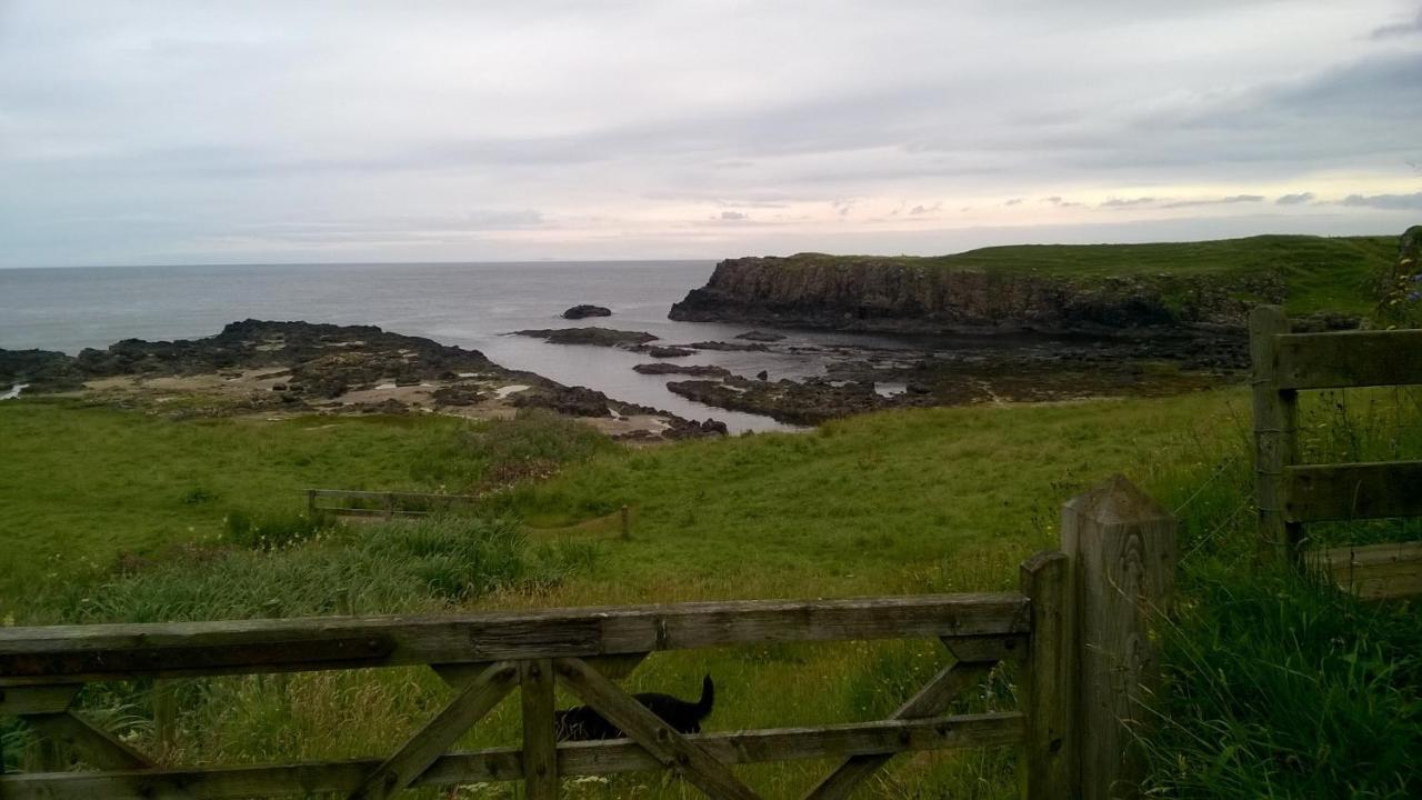 Dunseverick Ramblers Rest Bushmills Exteriör bild