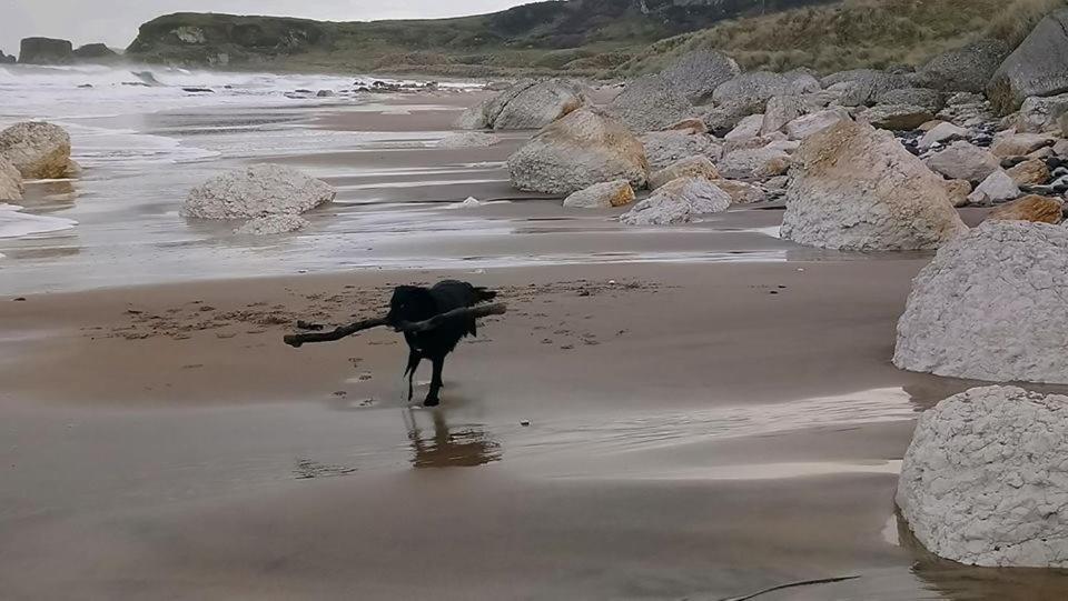 Dunseverick Ramblers Rest Bushmills Exteriör bild